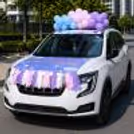 Paper Tassels In Random Colors Add Texture And Movement To The Baby Welcome Car Decor.