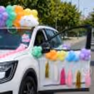 Pink Ribbon Wave Border And Bows Frame The Car Gracefully For Baby Welcome