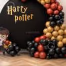 Harry Potter Sunboard Cutout Makes Kids Feel Their Favourite Heroes "Came" To The Party.