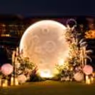 The floral decoration is soft and makes the proposal magical.