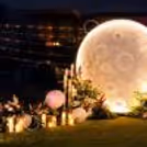 Perfect moonlight setup for unforgettable romantic celebrations.