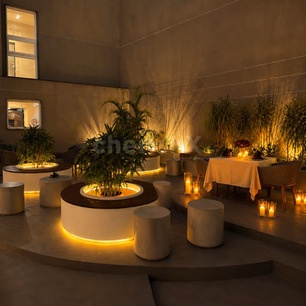 Romantic dinner arrangement blending nature, lighting, and elegance.