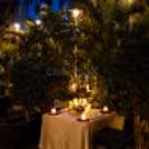 A romantic outdoor dining table surrounded by green foliage, with candles and rose petals.