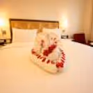 Luxury hotel room with romantic towel art, floral accents, premium bedding, and a comfortable ambiance for a memorable stay.
