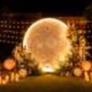 Outdoor Moonlight Candlelight Dinner Setup for Couples Luxury Lawn Decoration.