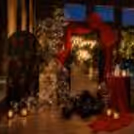 Black Balloons, Lanterns And Red Floral Decoration For A Romantic Proposal Setup.