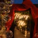 Close-Up Of Neon Sign With “Marry Me” In Glowing Words With Modern Balloon Decoration.