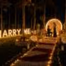 A grand walk under the moon, leading to the most beautiful question of a lifetime. Designed by CherishX.