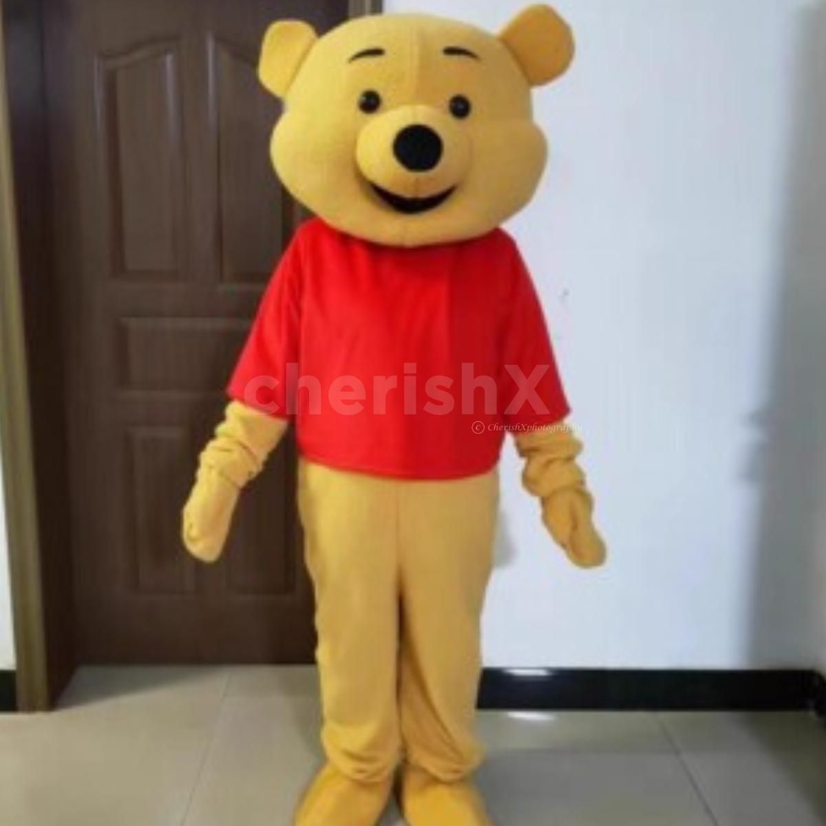 Winnie the Pooh mascot interacting with guests at an outdoor birthday party and kids' entertainment event.