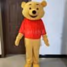 Red shirt with yellow bear character standing at an outdoor birthday party with a happy group of people.