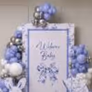 Newborn welcome decor, balloon, floral background, baby props and everything is complete.