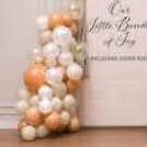 Neutral-toned balloon decoration with a teddy bear and welcome home baby backdrop.
