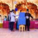 An interactive stage magic show with the audience in the hands of a professional illusionist with grand illusion props.
