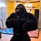 Premium Gorilla For Your Events — photo 2