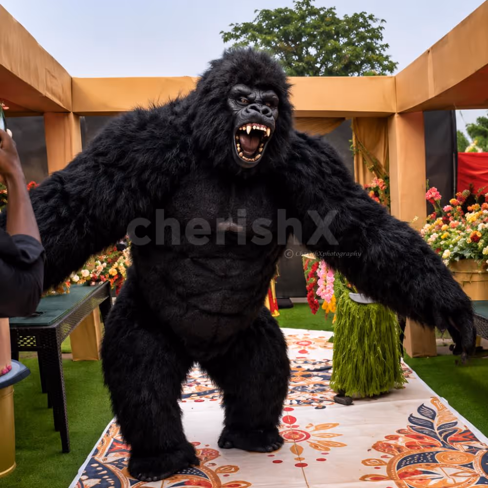Premium Gorilla For Your Events