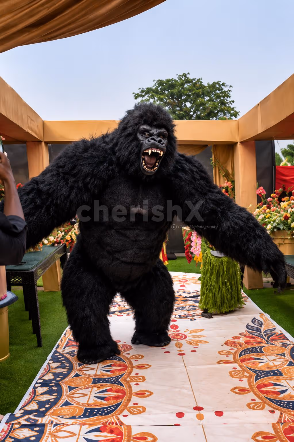 Premium Gorilla For Your Events
