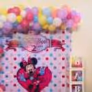 Minnie Theme Birthday Decoration — photo 2