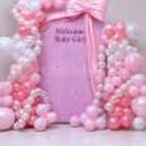 Celebrate your bundle of joy with a beautiful balloon backdrop.