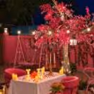 Starlit Alfresco Candlelight Dining — photo 7