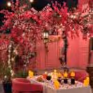 Starlit Alfresco Candlelight Dining — photo 6