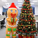 Bulky Gingerman on rent in India