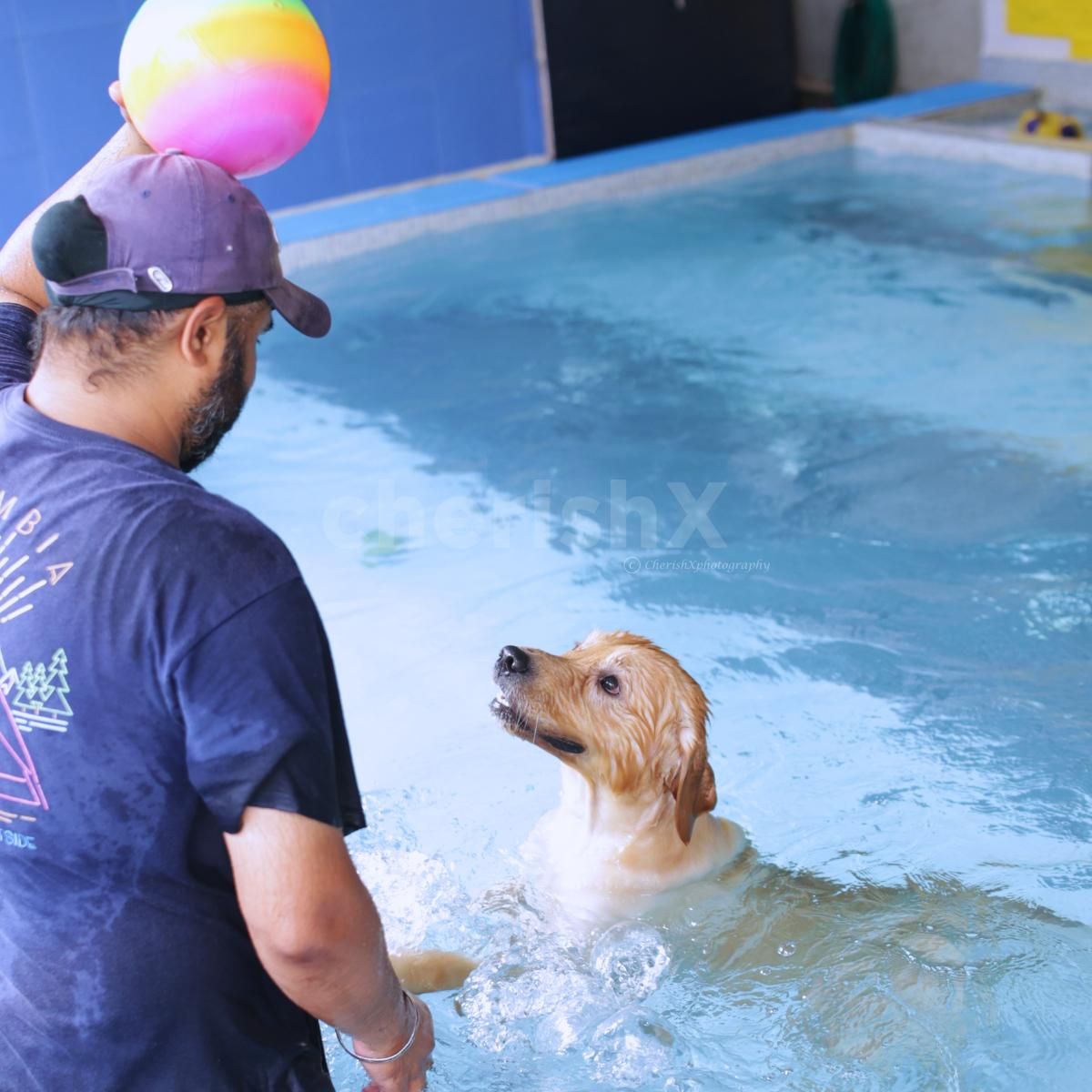 Couple Pool Date with your Dog, swimming with your pet, pet swimming pool in Delhi NCR