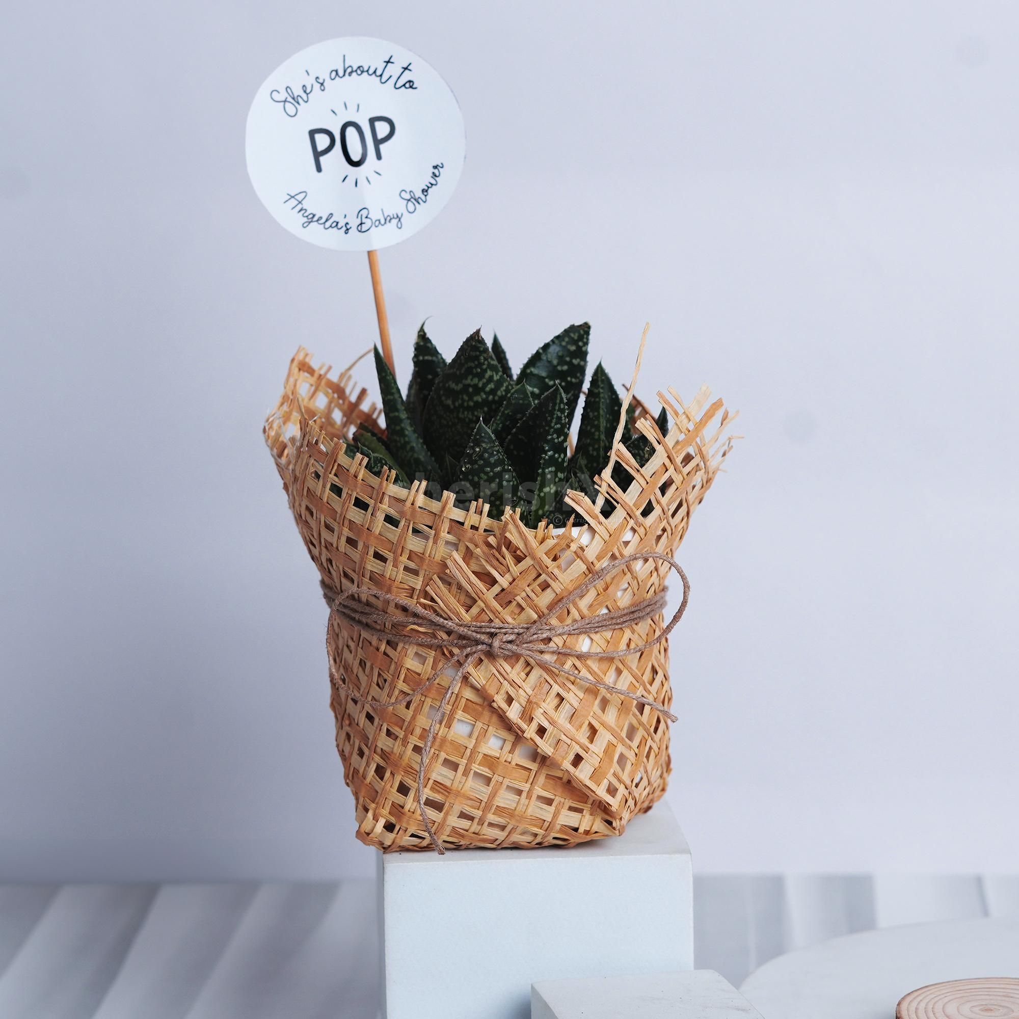 Representing warmth and growth, the basket is a year-round gift.