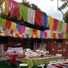 A stunning ceiling drape design that transforms any Holi party!