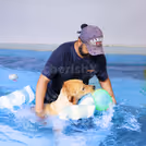 pool day with dog, pet pool in delhi ncr
