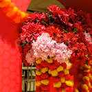 Perfect colorful backdrop for Diwali gatherings, pooja, anniversaries, and wedding photos.