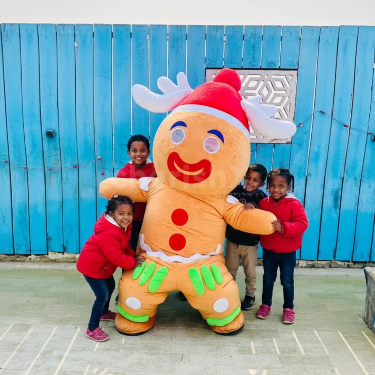 Bulky Gingerman on rent in India