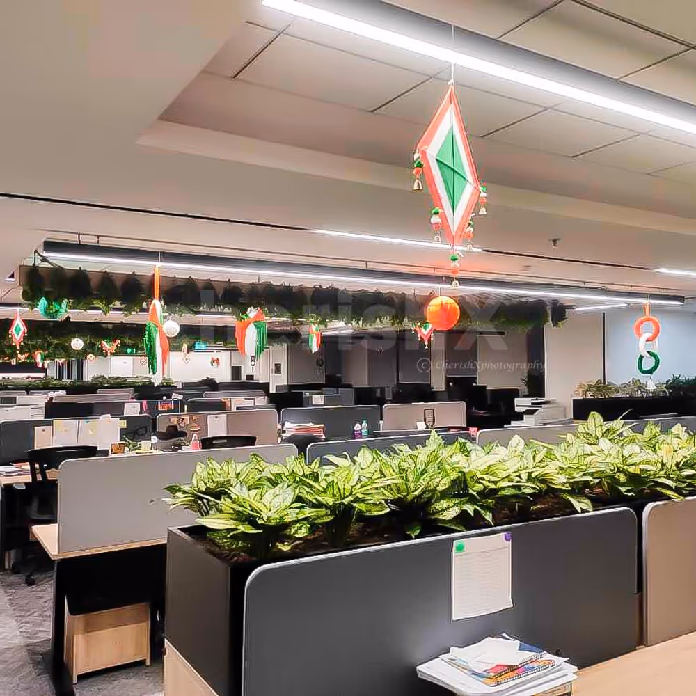 Bouncing kites from the ceiling creates a thoughtful design in harmony