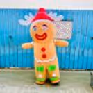 Bulky Gingerman on rent in India