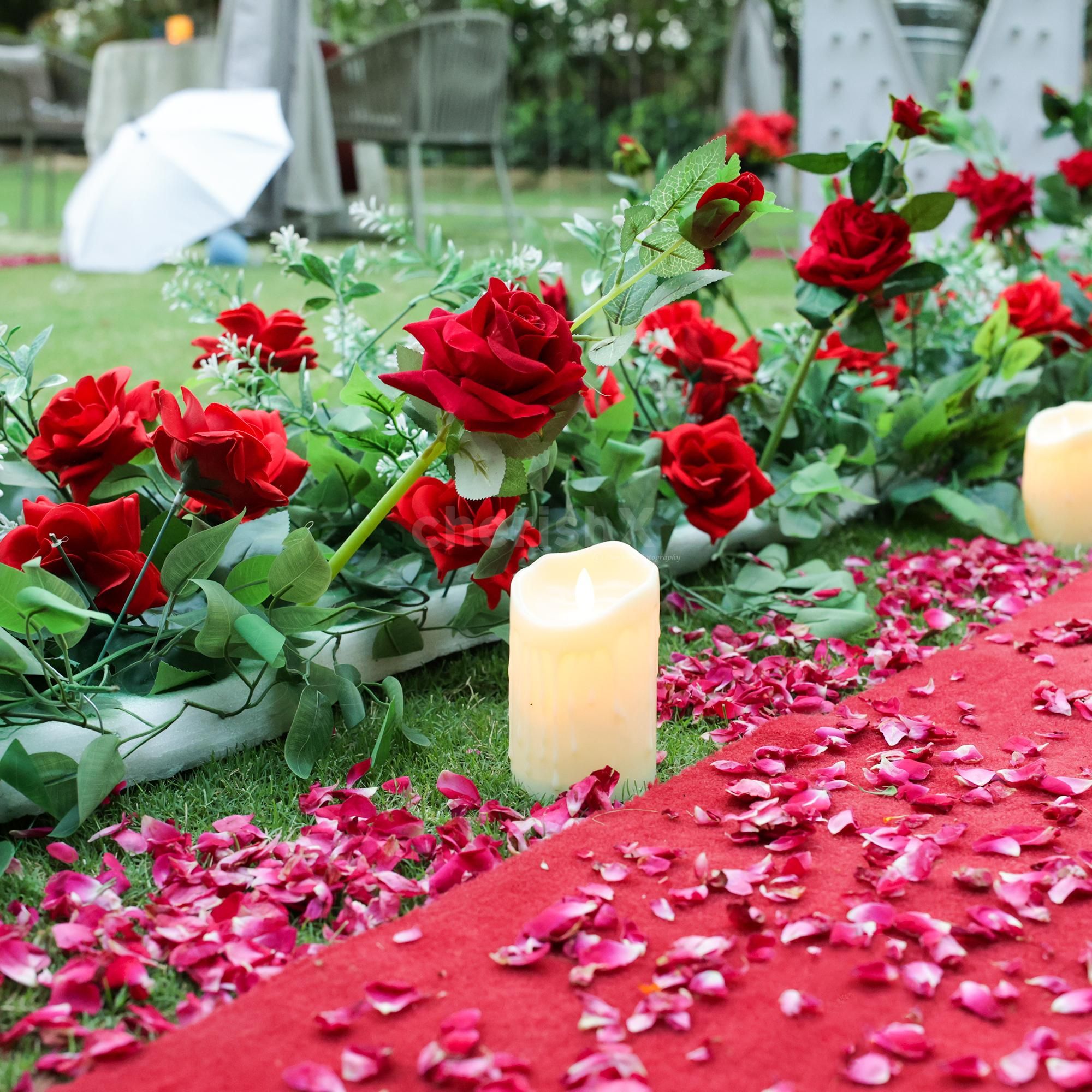 Lush green garden setting for that dreamy proposal moment.