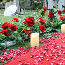Lush green garden setting for that dreamy proposal moment.
