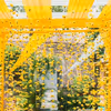 Floating marigold strings create a dreamy floral shower.