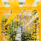 Floating marigold strings create a dreamy floral shower.