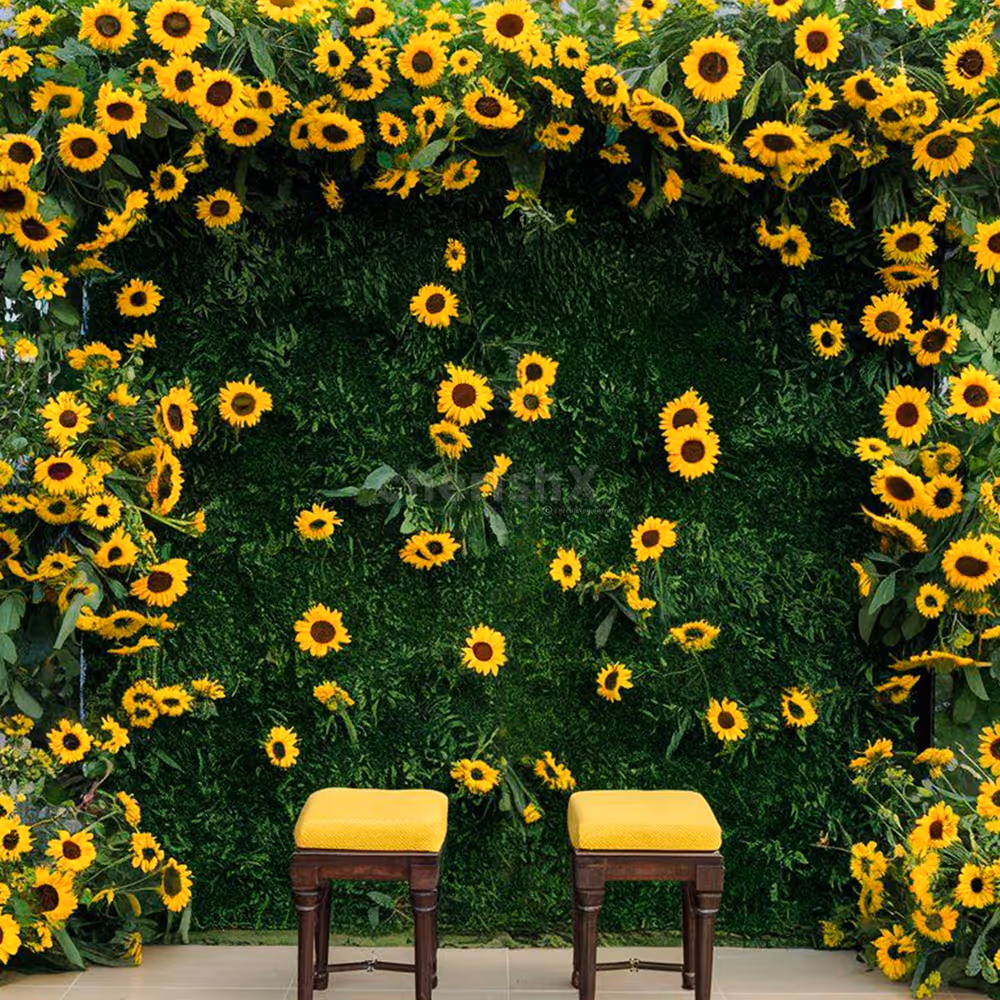 Comfortable twin chairs resting within a floral splash of sunshine.