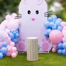 Double colour balloon arches arranged in a cascading style to enhance the fun element