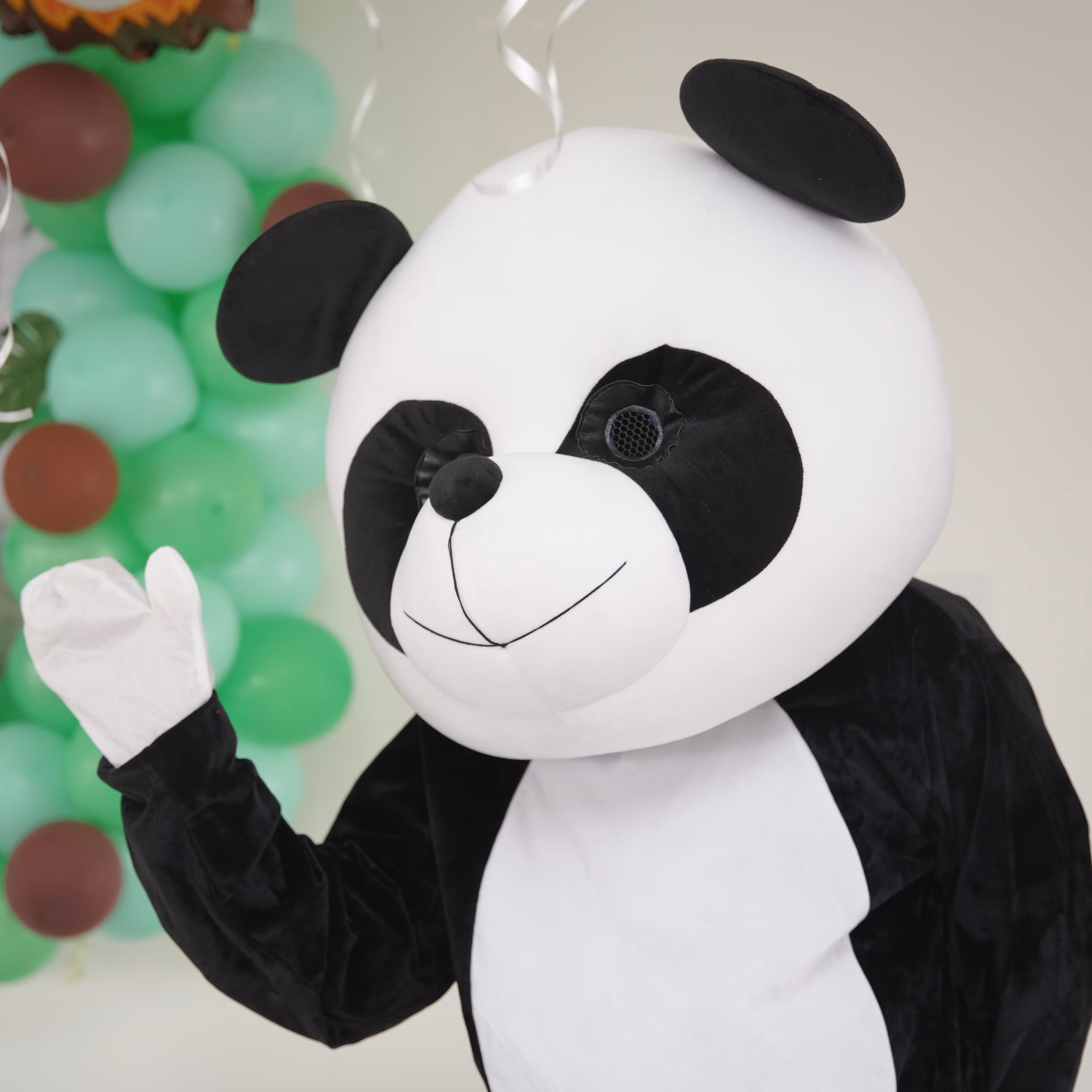 Live Cartoon Mascots For Kids Birthday Party