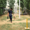 Dog park activity, engagement activity for pets, outdoor activity for pets, pet shelter
