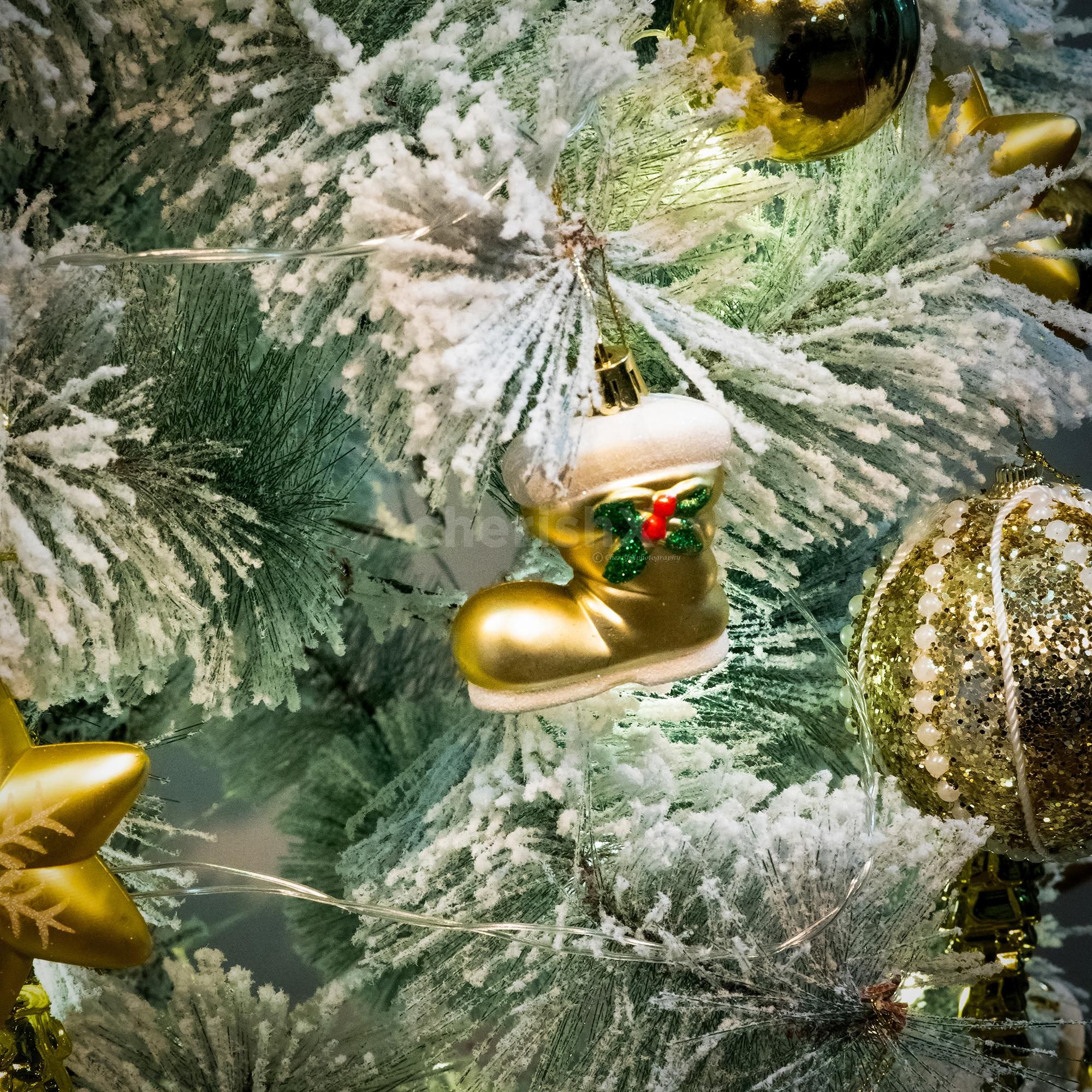 A European snow pine Christmas tree with golden decorations shines like a jewel.