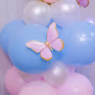 Confetti in balloons butterflies in air this setup didn’t come to whisper