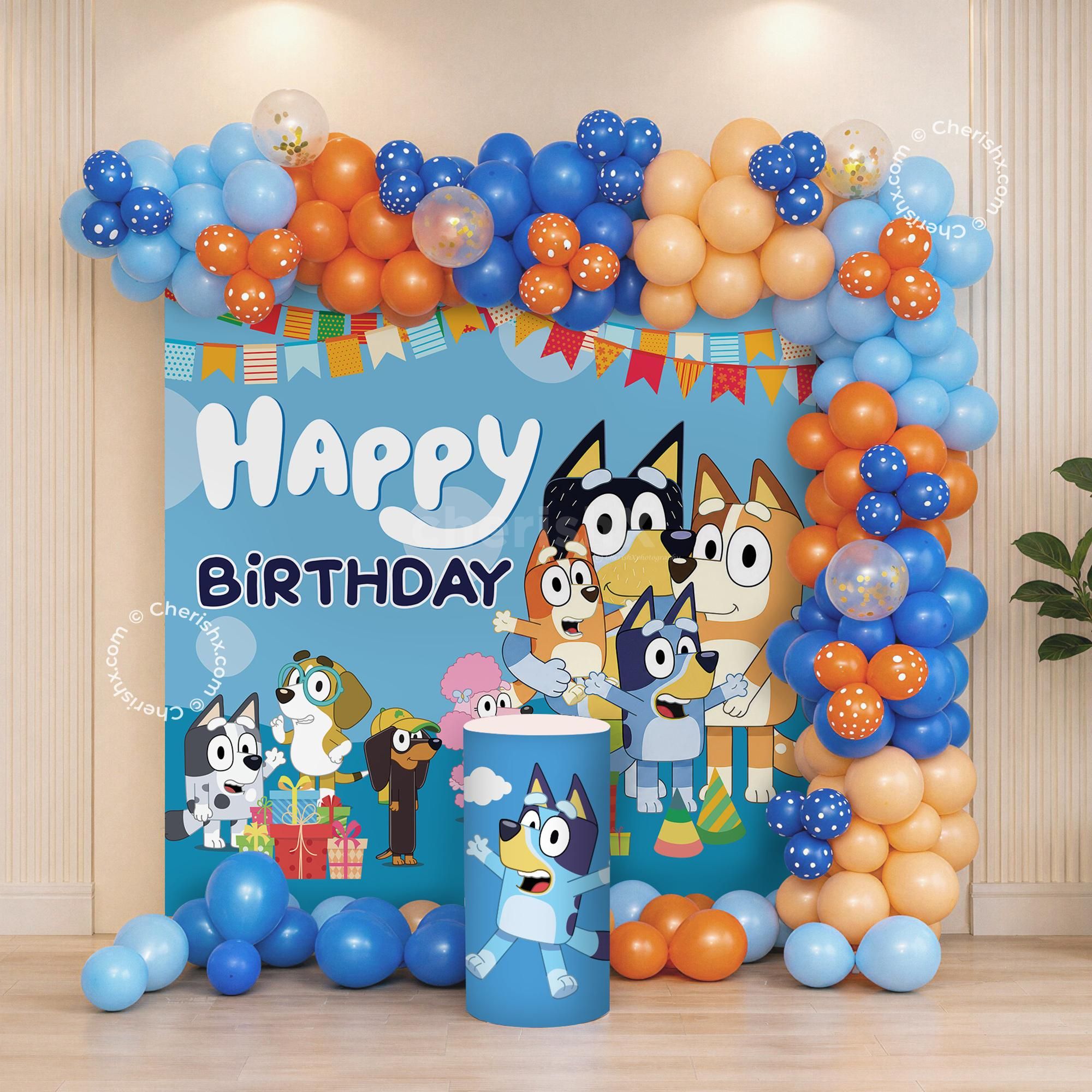 Bluey Theme Birthday Backdrop