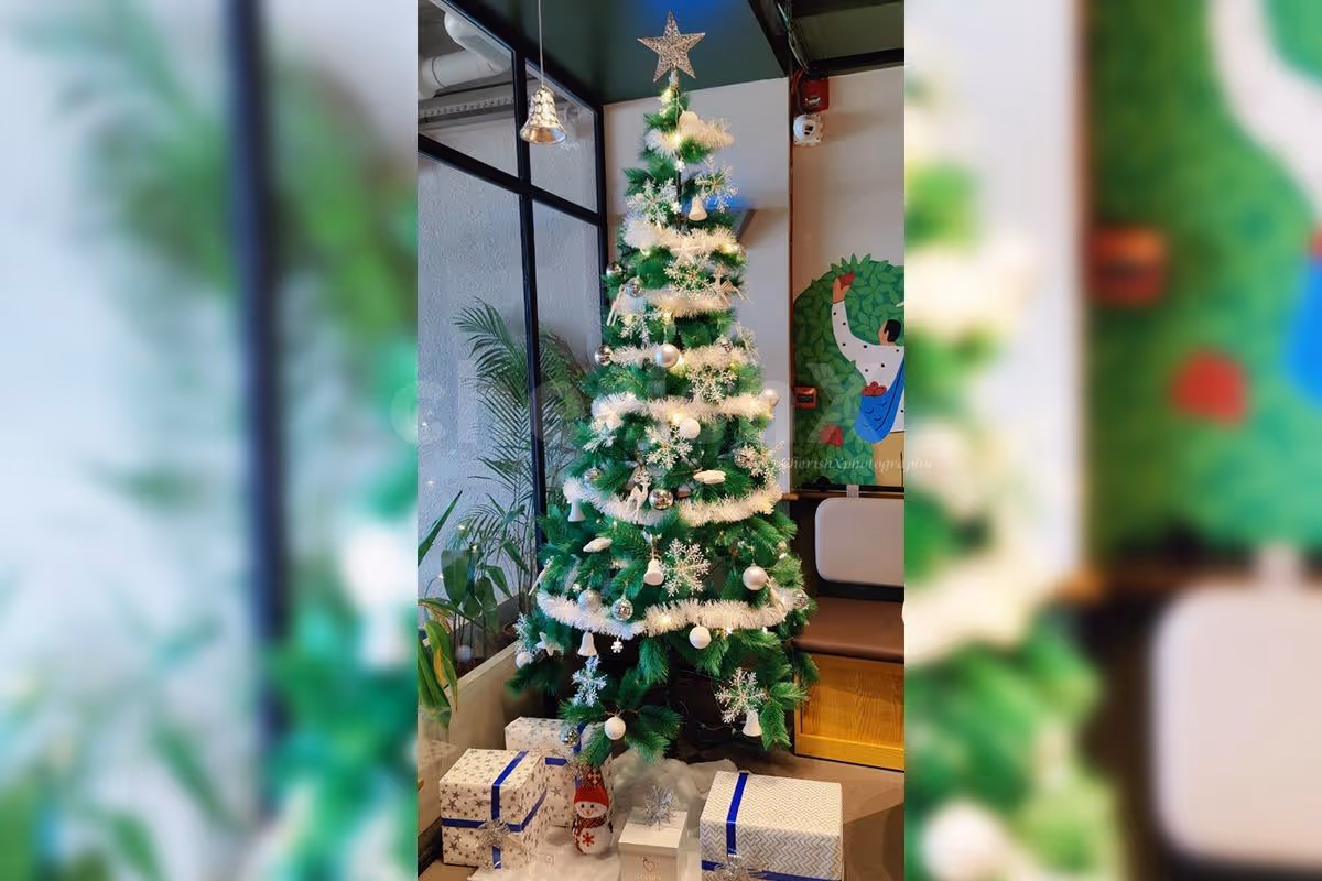 Lighten up your place with the stunning Christmas tree