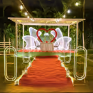 Walk down a glowing red carpet to an unforgettable evening of love