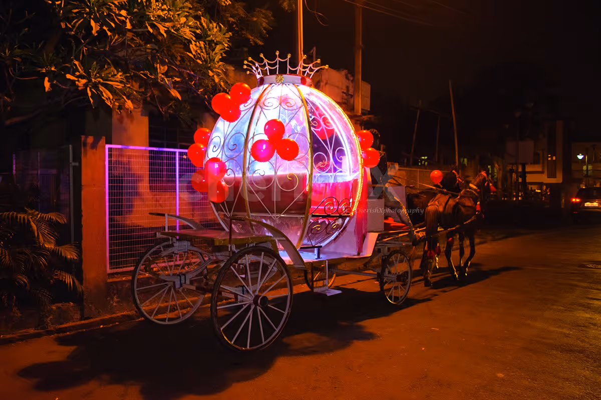 Beautiful Fairytale Carriage Ride for a truly special and memorable occasion.