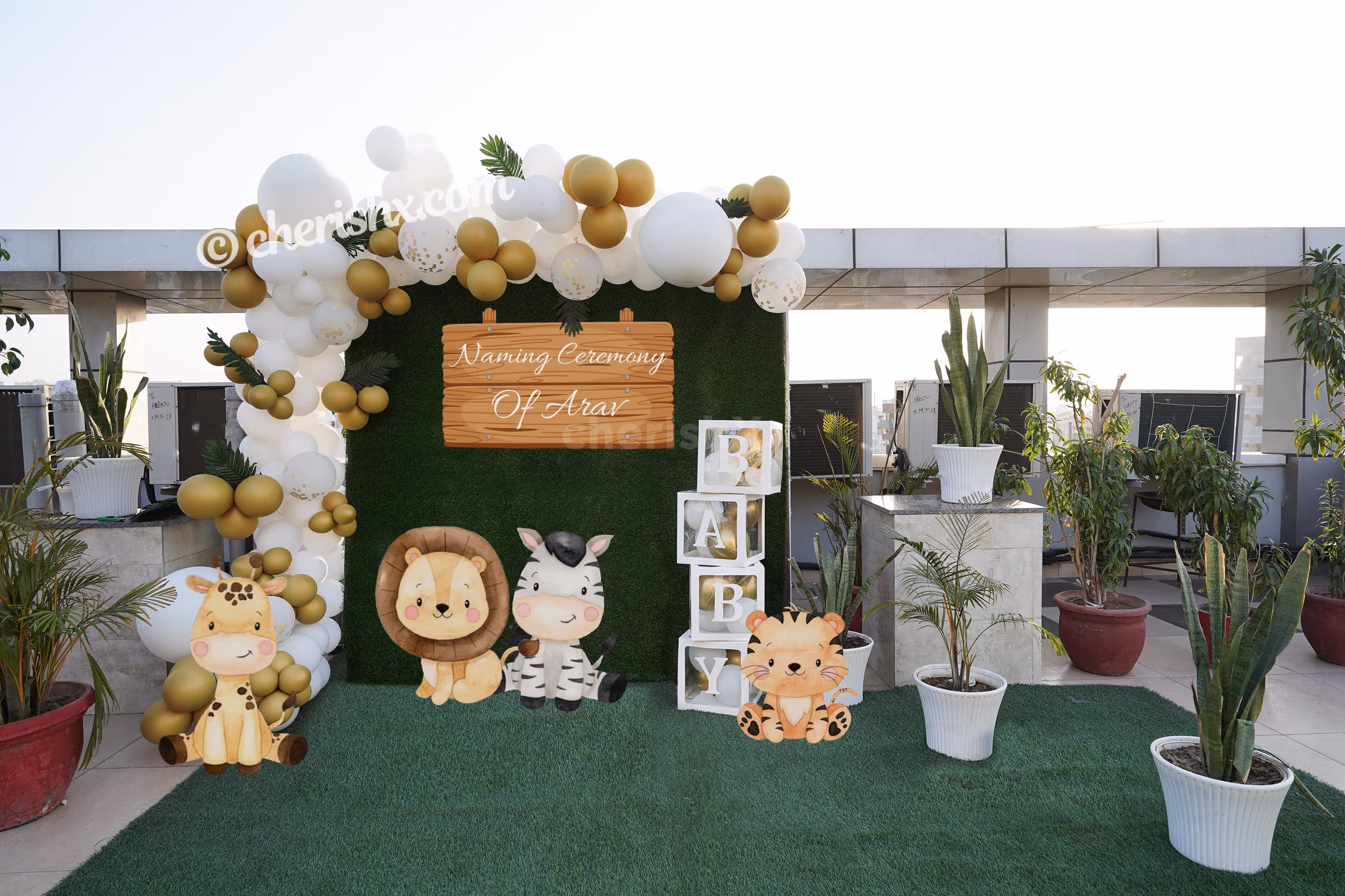A Stunning Jungle Safari Theme Balloon Decor for your Celebrations.