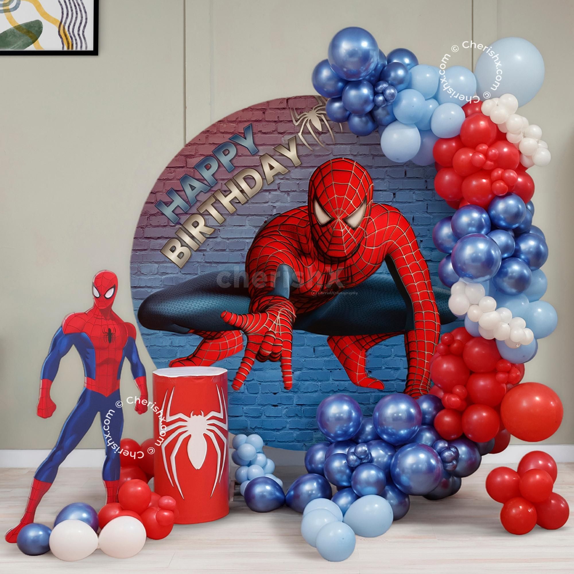 Spider-Man Flex Theme Decor