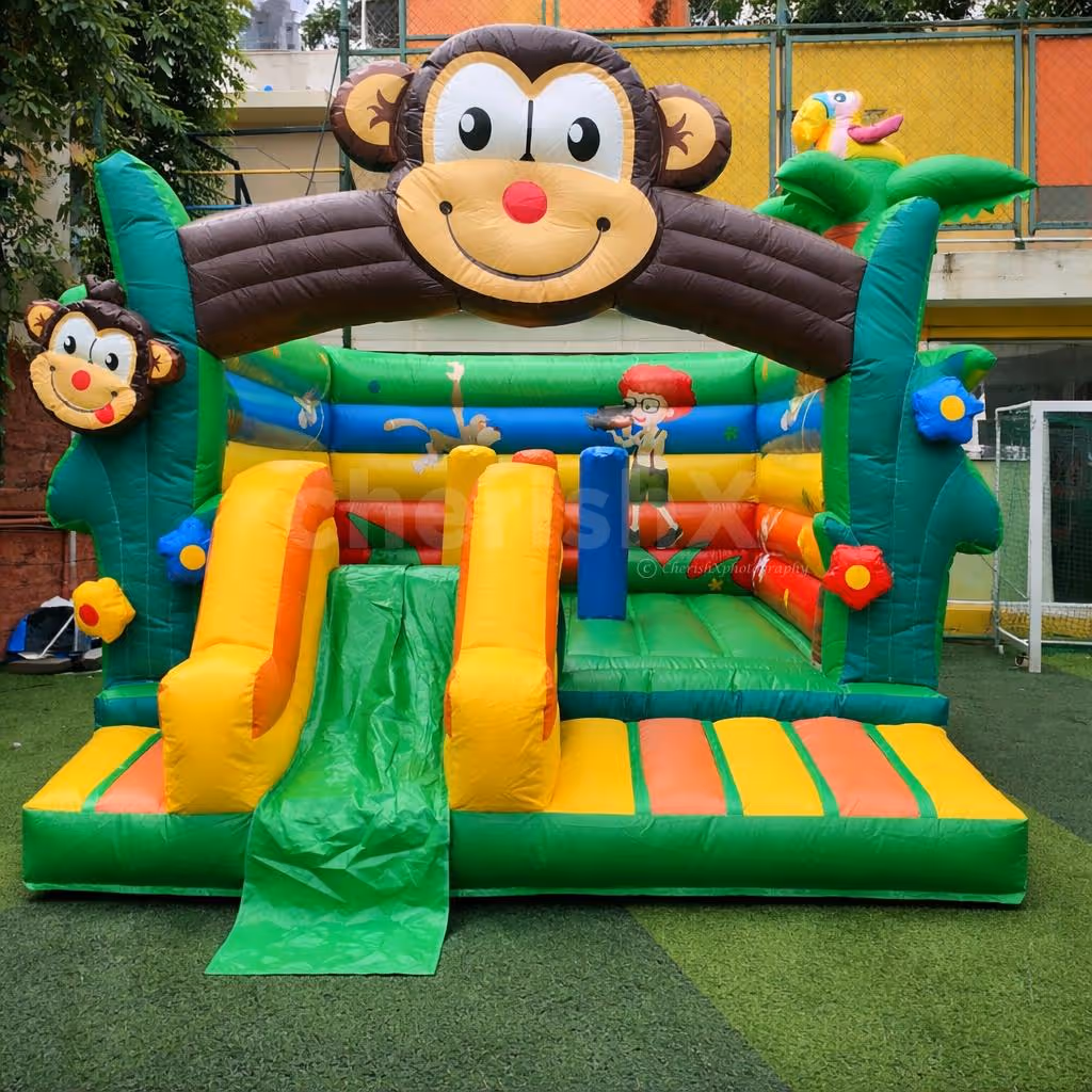 Cute Monkey bouncy with slider
